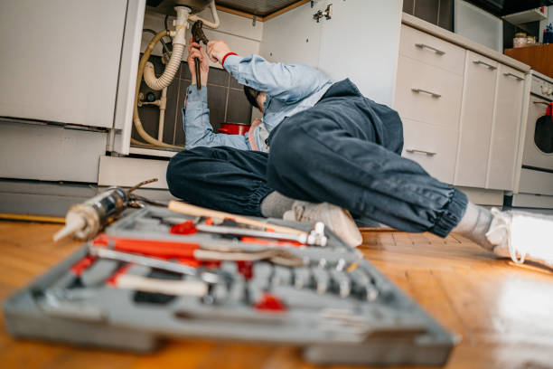 Best Plumbing Inspection Services  in San Pasqual, CA