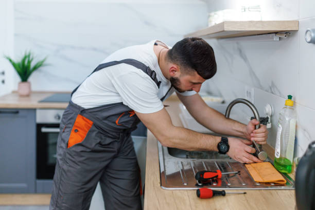 Best Commercial Plumbing Services  in San Pasqual, CA