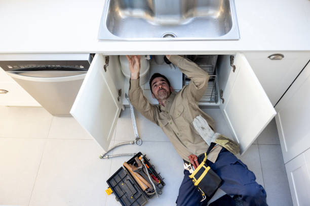 Best Toilet Repair Services  in San Pasqual, CA