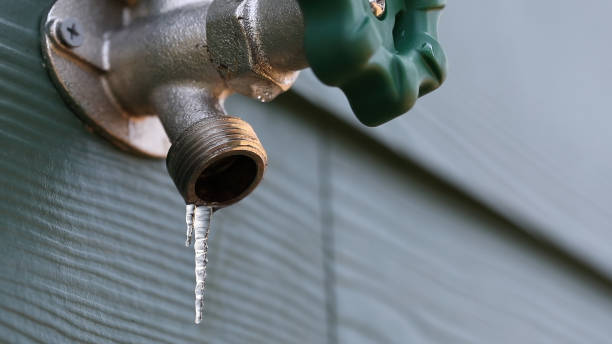 Best Drain Cleaning Services  in San Pasqual, CA